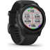 Garmin Fenix 6S Pro