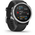Garmin Fenix 6S Silver