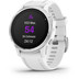 Garmin Fenix 6S Silver