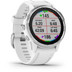 Garmin Fenix 6S Silver