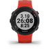 Garmin Forerunner 45