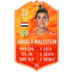 Fancard Angela Malestein No. 26