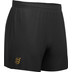 Compressport Performance Short Herren 2