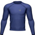 Compressport Training Longsleeve Herren 1