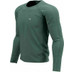 Compressport Training Longsleeve Herren 1