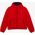 Lacoste Lightweight Puffer Winterjas