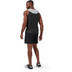 On Hybrid Short Heren