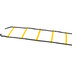 Select Agility Ladder