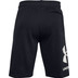 Under Armour Fleece Big Logo Shorts Men 2
