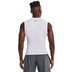Under Armour HeatGear SL Shirt Men