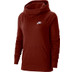 Nike Sportswear Essential Logo Hoody