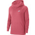 Nike Sportswear Essential Logo Hoody