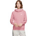 Nike Sportswear Essential Logo Hoody