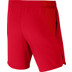 Nike Court Flex Ace Short Jongens
