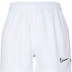 Nike Academy Short Dames 8