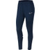Nike Academy Pant Dames
