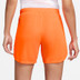 Nike Nederland Thuis Tenue Dames