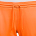 Nike Nederland Thuis Tenue Dames
