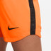 Nike Nederland Thuis Tenue Dames