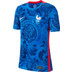Nike Frankrijk Thuis Shirt Kids