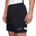 Nike Academy Short