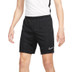Nike Academy Short