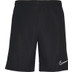 Nike Academy Short