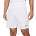 Nike Academy Short