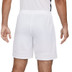 Nike Academy Short