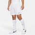 Nike Academy Short
