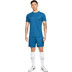 Nike Academy Short