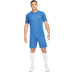 Nike Academy Short