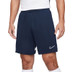 Nike Academy Shorts