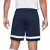 Nike Academy Shorts