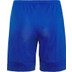 Nike Academy Short 2