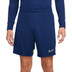 Nike Academy Short