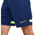Nike Academy Short