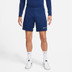 Nike Academy Short