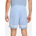Nike Academy Short
