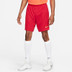 Nike Academy Short