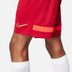 Nike Academy Short