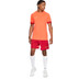 Nike Academy Short