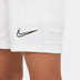 Nike Academy Short Kids