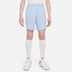 Nike Academy Short Kids