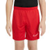 Nike Academy Short Kids