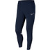 Nike Academy Pant