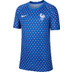 Nike Frankrijk Pre-Match Shirt 1