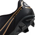 Nike Tiempo Legend 9 Academy FG/MG