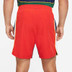 Nike Court New York Slam Short