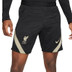 Nike Liverpool Strike Short